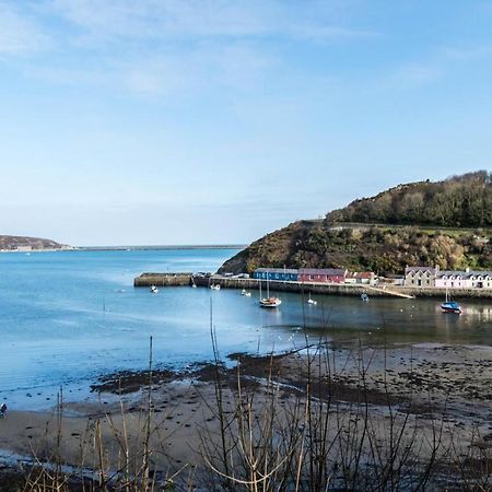 Rock Cottage - 3 Bedroom Holiday Home - Fishguard Exterior foto