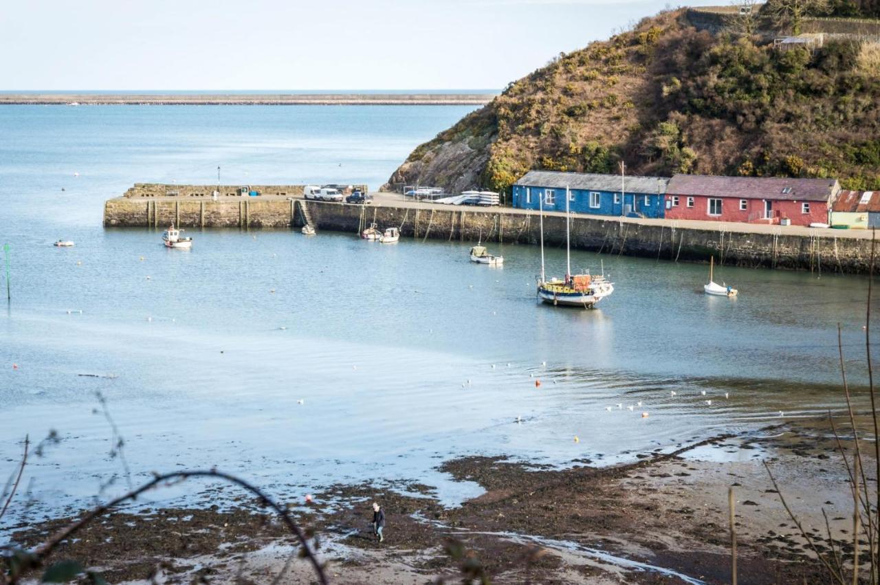 Rock Cottage - 3 Bedroom Holiday Home - Fishguard Exterior foto